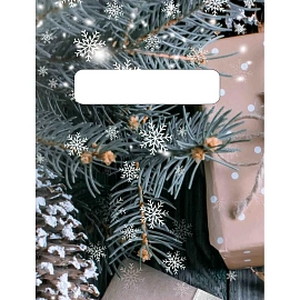 Пакет подарочный пластиковый Нов. подарки 45х38 НГ (50шт/ уп) арт.н00223879