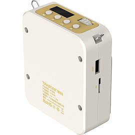 Усилитель голоса (громкоговоритель) с проводной гарнитурой Takstar E180M Beige