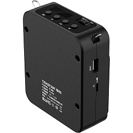 Усилитель голоса (громкоговоритель) с проводной гарнитурой Takstar E180M Black