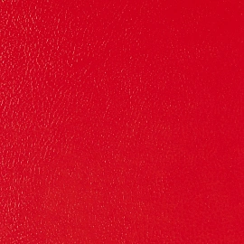 Ежедневник недатированный Bruno Visconti Megapolis искусственная кожа А5 160 листов красный