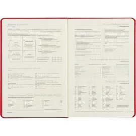 Ежедневник недатированный Bruno Visconti Megapolis искусственная кожа А5 160 листов красный