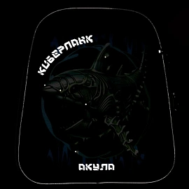 Ранец Комус Класс Basic акула анатомический чёрный с двумя отделениями