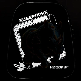 Ранец Комус Класс Basic Носорог анатомический чёрный с двумя отделениями