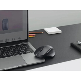 Мышь беспроводная Rapoo M50 Plus Silent черная (M50PLUS-BL)