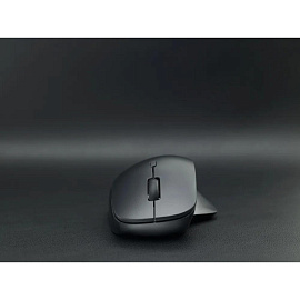 Мышь беспроводная Rapoo M50 Plus Silent черная (M50PLUS-BL)