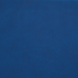 Ежедневник недатированный Bruno Visconti Megapolis Velvet искусственная кожа Soft Touch А5 136 листов синий