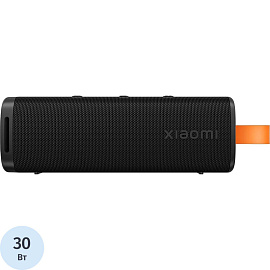 Акустическая система Xiaomi Sound Outdoor S29D чёрная с микрофоном (QBH4261GL)