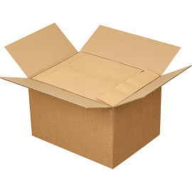 Пакет Largepack E4 (300x400 мм) из крафт-бумаги 120 г/кв.м стрип до 300 листов (200 штук в упаковке)