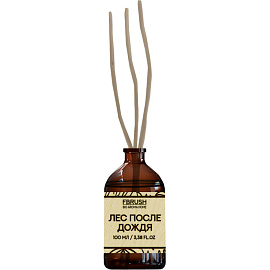 Аромадиффузор Fbrush Bio Aroma Home Лес после дождя 100 мл