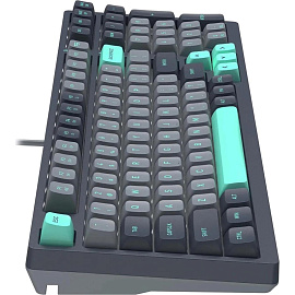 Клавиатура A4Tech Fstyler FS300 (FS300 PANDA ROCK)