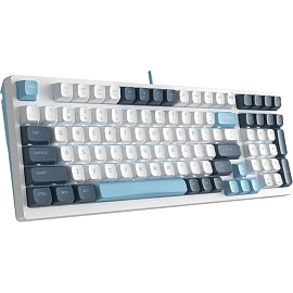 Клавиатура A4Tech Fstyler FS300 (FS300 PANDA SNOWBOARDING)