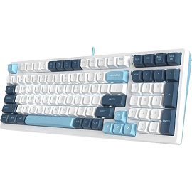 Клавиатура A4Tech Fstyler FS300 (FS300 PANDA SNOWBOARDING)