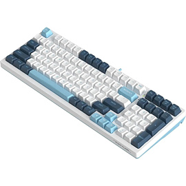 Клавиатура A4Tech Fstyler FS300 (FS300 PANDA SNOWBOARDING)