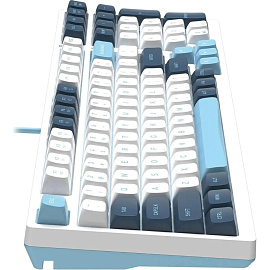 Клавиатура A4Tech Fstyler FS300 (FS300 PANDA SNOWBOARDING)