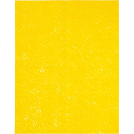 Салфетки хозяйственные Paclan вискоза 40x30 см 90 г/кв.м (10 штук в упаковке) фото Салфетки хозяйственные Paclan вискоза 40x30 см 90 г/кв.м (10 штук в упаковке)