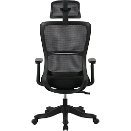 Кресло BN_Hg_EChair-634 TC сетка/ткань черный