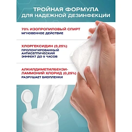 Салфетки влажные Clinical Program дезинфицирующие (200 салфеток в упаковке)