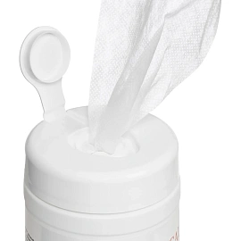 Салфетки влажные Clinical Program дезинфицирующие (200 салфеток в упаковке)