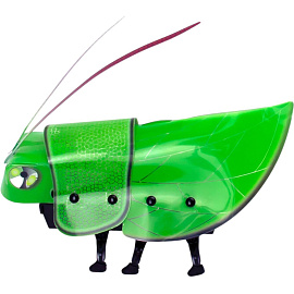 Конструктор робототехнический ND Play Робот Сверчок от 6 лет (NDP-089) фото Конструктор робототехнический ND Play Робот Сверчок от 6 лет (NDP-089)