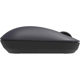 Мышь беспроводная Xiaomi Wireless Mouse Lite 2 черная (BHR8916GL)