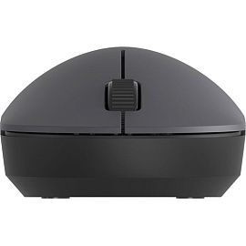 Мышь беспроводная Xiaomi Wireless Mouse Lite 2 черная (BHR8916GL)