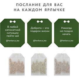 Чай черный Herbarus 100 пакетиков (чабрец, мята)