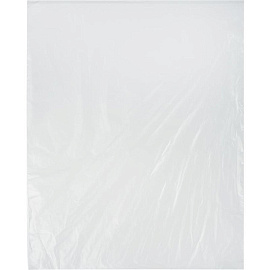 Пакет фасовочный 24х37 см ПНД 10 мкм прозрачный (1000 штук в упаковке)