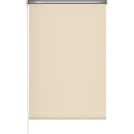 Рулонная штора Blackout silver 537837 V5 полиэстер бежевая (120х160 см)