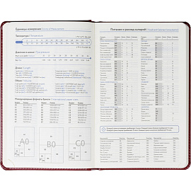 Ежедневник недатированный Attache искусственная кожа тиснение А5 160 листов бордовый