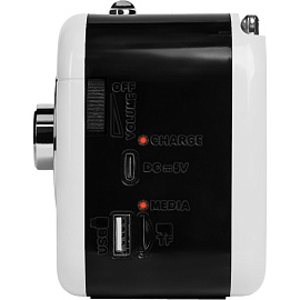 Радиоприемник Ritmix RPR-033 белый (80004173)