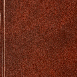 Ежедневник датированный 2026 А5+ IDEAL NEW коричневый 3-344/02