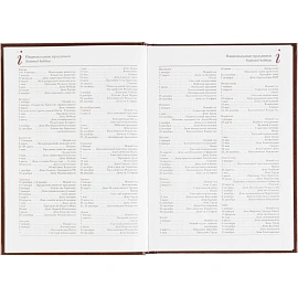 Ежедневник датированный 2026 А5+ IDEAL NEW коричневый 3-344/02