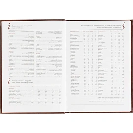 Ежедневник датированный 2026 А5+ IDEAL NEW коричневый 3-344/02