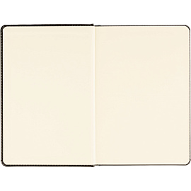 Ежедневник недатированный ATTACHE Priority А5, 143х210мм, 160л, черный