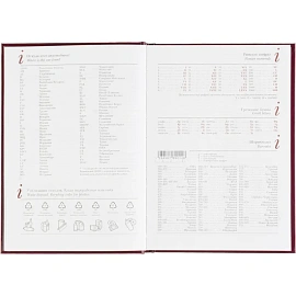 Ежедневник датированный 2026 год Attache Ideal New балакрон А5 168 листов бордовый