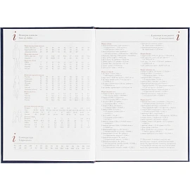 Ежедневник датированный 2026 год Attache Ideal New балакрон А5 168 листов синий