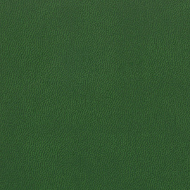 Ежедневник недатированный Attache Classic искусственная кожа тиснение А5 136 листов тёмно-зелёный