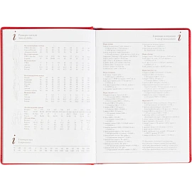 Ежедневник датированный 2026 год Attache Velvet искусственная кожа А5 168 листов красный