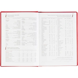 Ежедневник датированный 2026 год Attache Velvet искусственная кожа А5 168 листов красный