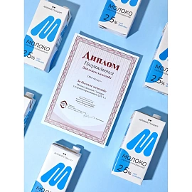 Молоко Деловой Стандарт ультрапастеризованное 2.5% 1 л