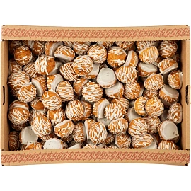 Печенье заварное в глазури Гранъ Заварные пышечки 2 кг