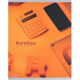 Тетрадь предметная Remix А5 48 листов с рисунком комбинированная (12 штук в упаковке) фото Тетрадь предметная Remix А5 48 листов с рисунком комбинированная (12 штук в упаковке)