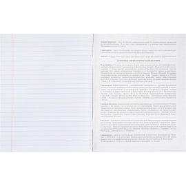 Тетрадь предметная Remix А5 48 листов с рисунком комбинированная (12 штук в упаковке) фото Тетрадь предметная Remix А5 48 листов с рисунком комбинированная (12 штук в упаковке)