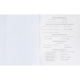 Тетрадь предметная Remix А5 48 листов с рисунком комбинированная (12 штук в упаковке) фото Тетрадь предметная Remix А5 48 листов с рисунком комбинированная (12 штук в упаковке)