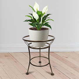 Подставка для цветов Garden Show Пион 32x25.5x25.5 см бронзовая