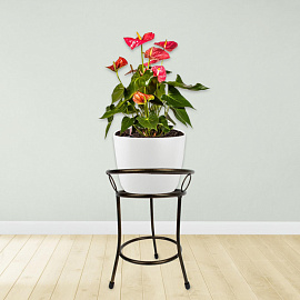 Подставка для цветов Garden Show Пион 32x25.5x25.5 см бронзовая