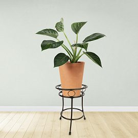 Подставка для цветов Garden Show Пион 32x25.5x25.5 см бронзовая