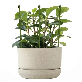 Опора для растений Garden Show Круглая 25.5x18x1 см металл