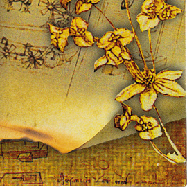 Папка адресная Портфолио школьника А4 картон