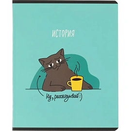 Тетрадь предметная Комус Класс Котики, 48 л., А5, клетка, ИСТОРИЯ